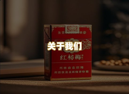 关于我们